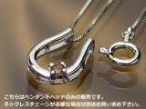 誕生石ペンダントヘッド(トップ) バテイ（馬蹄）/プラチナ[ガーネット]※チェーンは別売りです