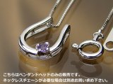 誕生石ペンダントヘッド(トップ) バテイ（馬蹄）/プラチナ[アメジスト]※チェーンは別売りです