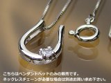 誕生石ペンダントヘッド(トップ) バテイ（馬蹄）/プラチナ[ムーンストーン]※チェーンは別売りです