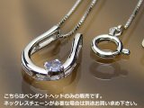 誕生石ペンダントヘッド(トップ) バテイ（馬蹄）/プラチナ[タンザナイト]※チェーンは別売りです